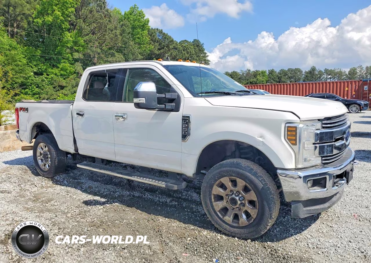 2019 Ford F250 Super Duty VIN:1FT7W2B60KEE99768 - 4