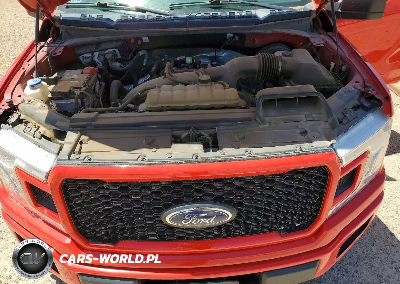 2019 Ford F150 Supercrew VIN:1FTEW1CP3KKC84735 - 11