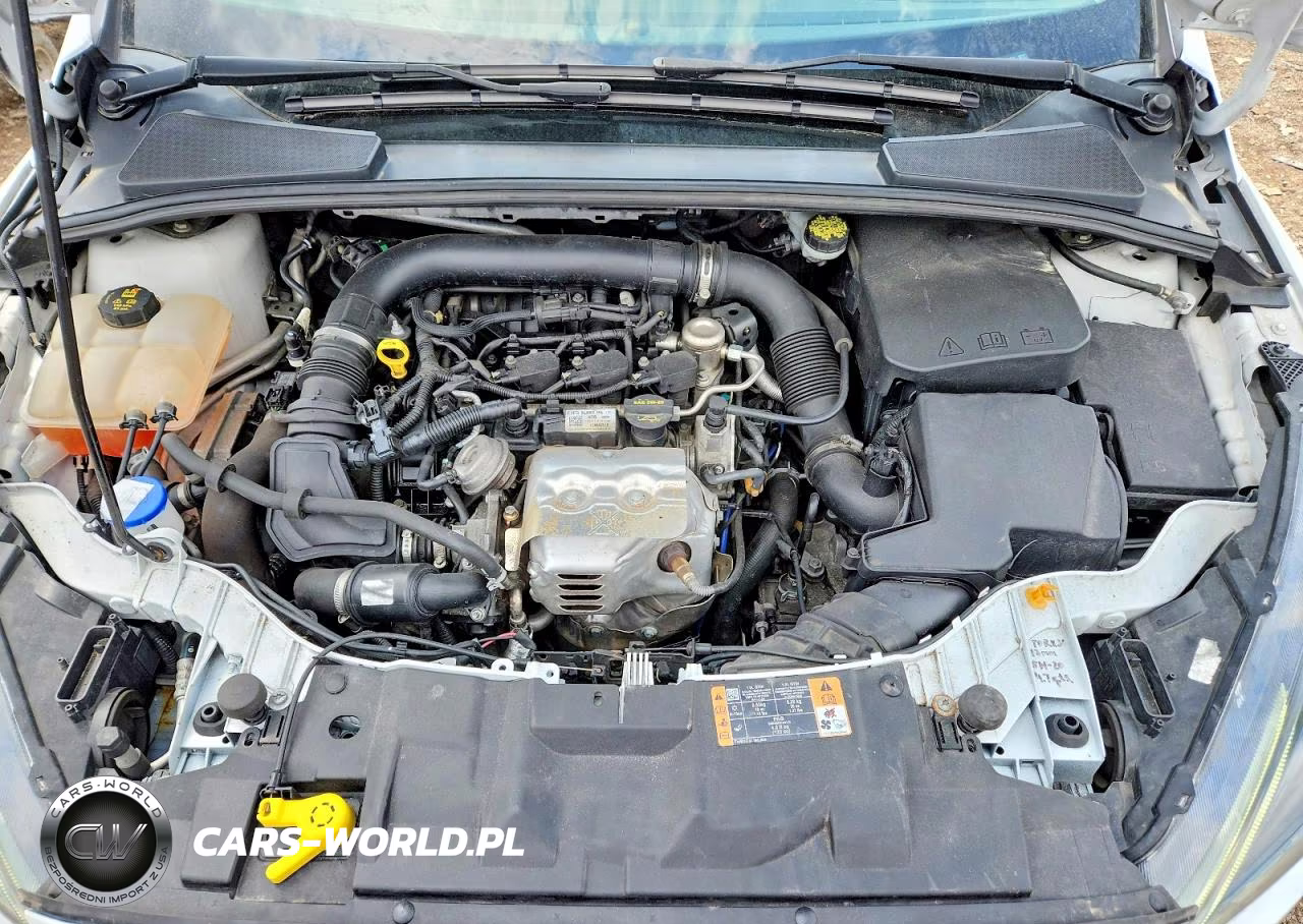 2016 Ford Focus Se VIN:1FADP3KE4GL390851 - 11