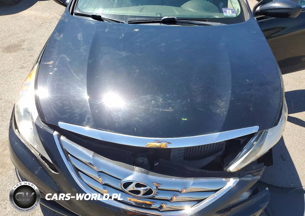 2011 Hyundai Sonata VIN:5NPEC4AB1BH317988 - 11