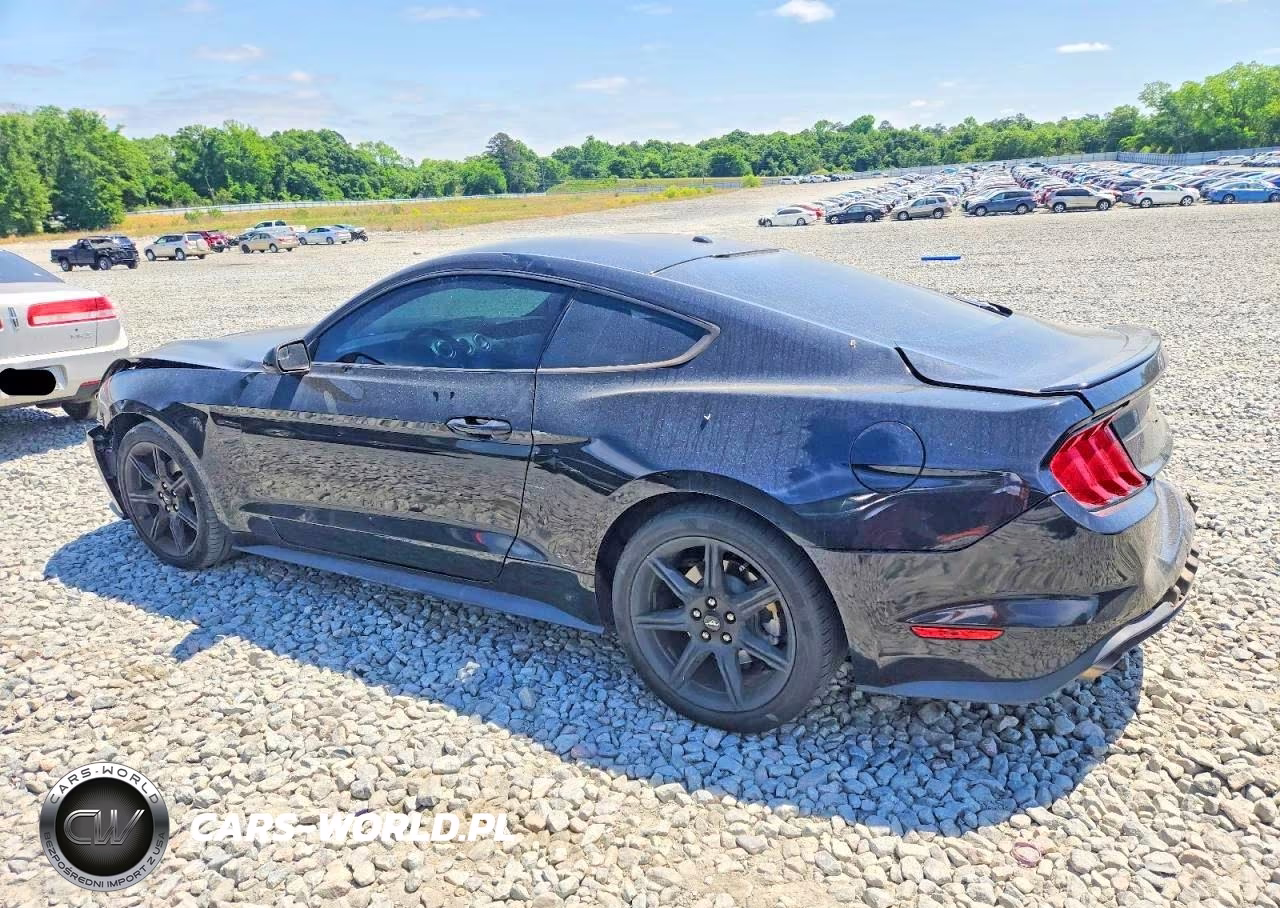 2020 Ford Mustang 2D Ecoboost VIN:1FA6P8TH5L5123036 - 3