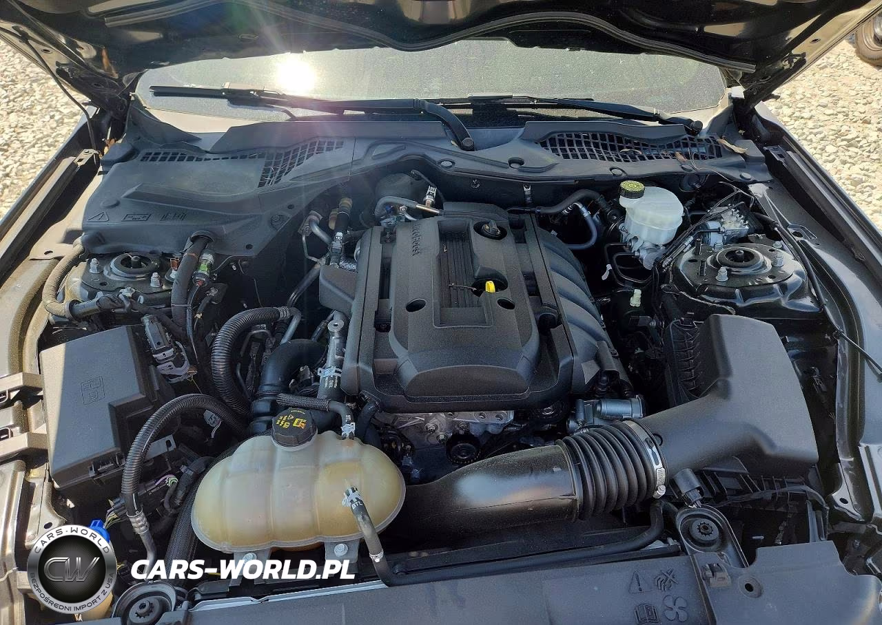 2020 Ford Mustang 2D Ecoboost VIN:1FA6P8TH5L5123036 - 7
