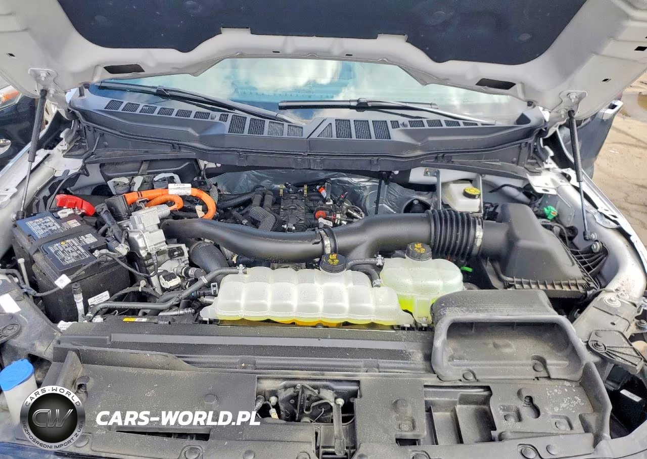 2025 Ford F150 Xlt VIN:1FTFW3LD9SFB44722 - 11
