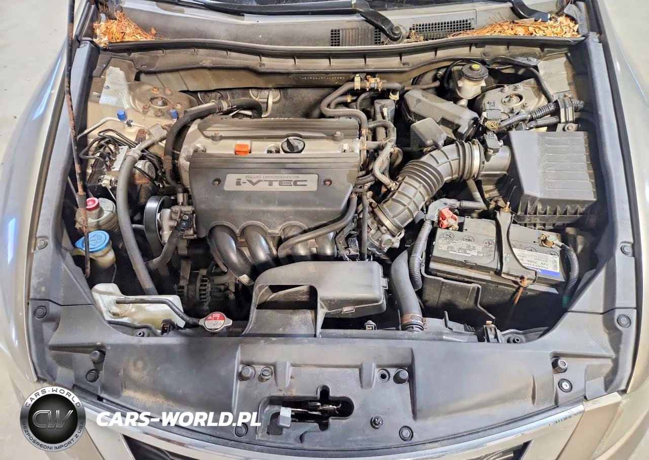 2009 Honda Accord Lxp VIN:1HGCP26499A025552 - 11