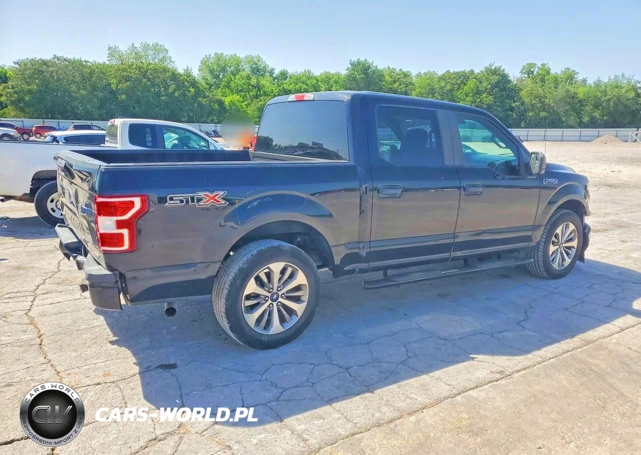 2018 Ford F150 Supercrew VIN:1FTEW1CP1JKF53524 - 3