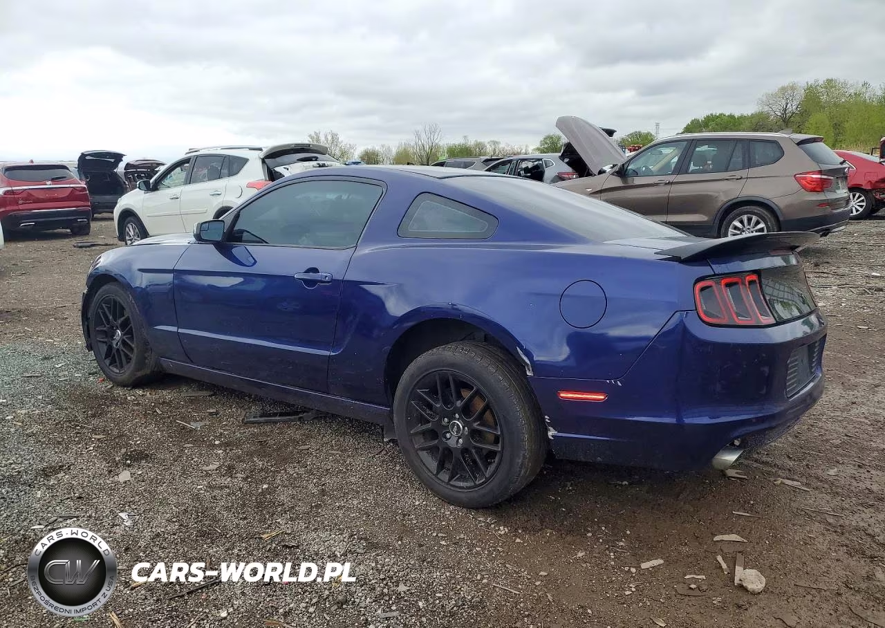 2014 Ford Mustang VIN:1ZVBP8AM3E5301518 - 2