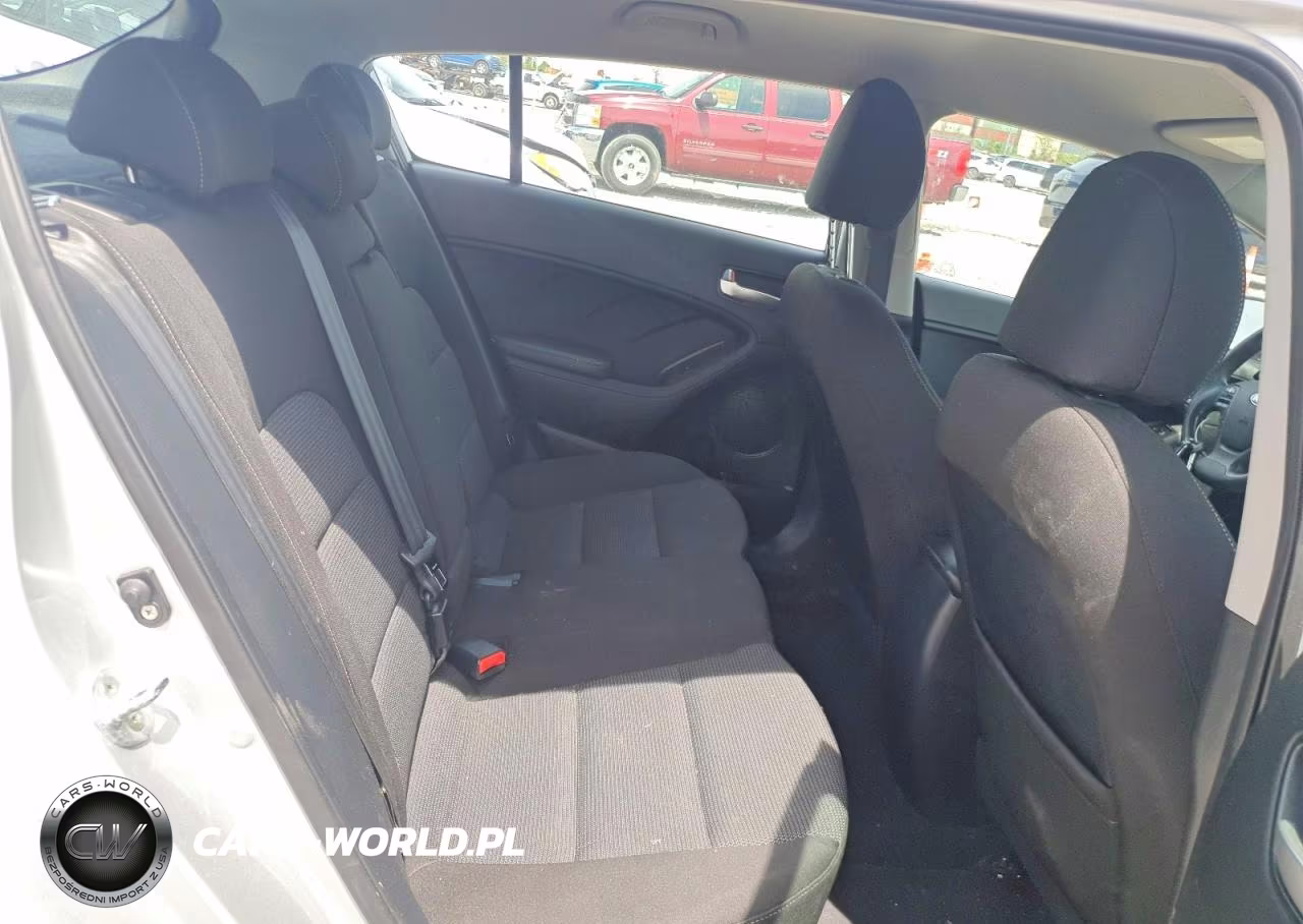 2017 Kia Forte Lx VIN:KNAFK5A8XH5674187 - 10