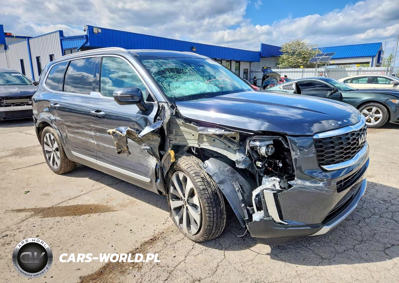 2022 Kia Telluride S VIN:5XYP6DHC5NG239306 - 4