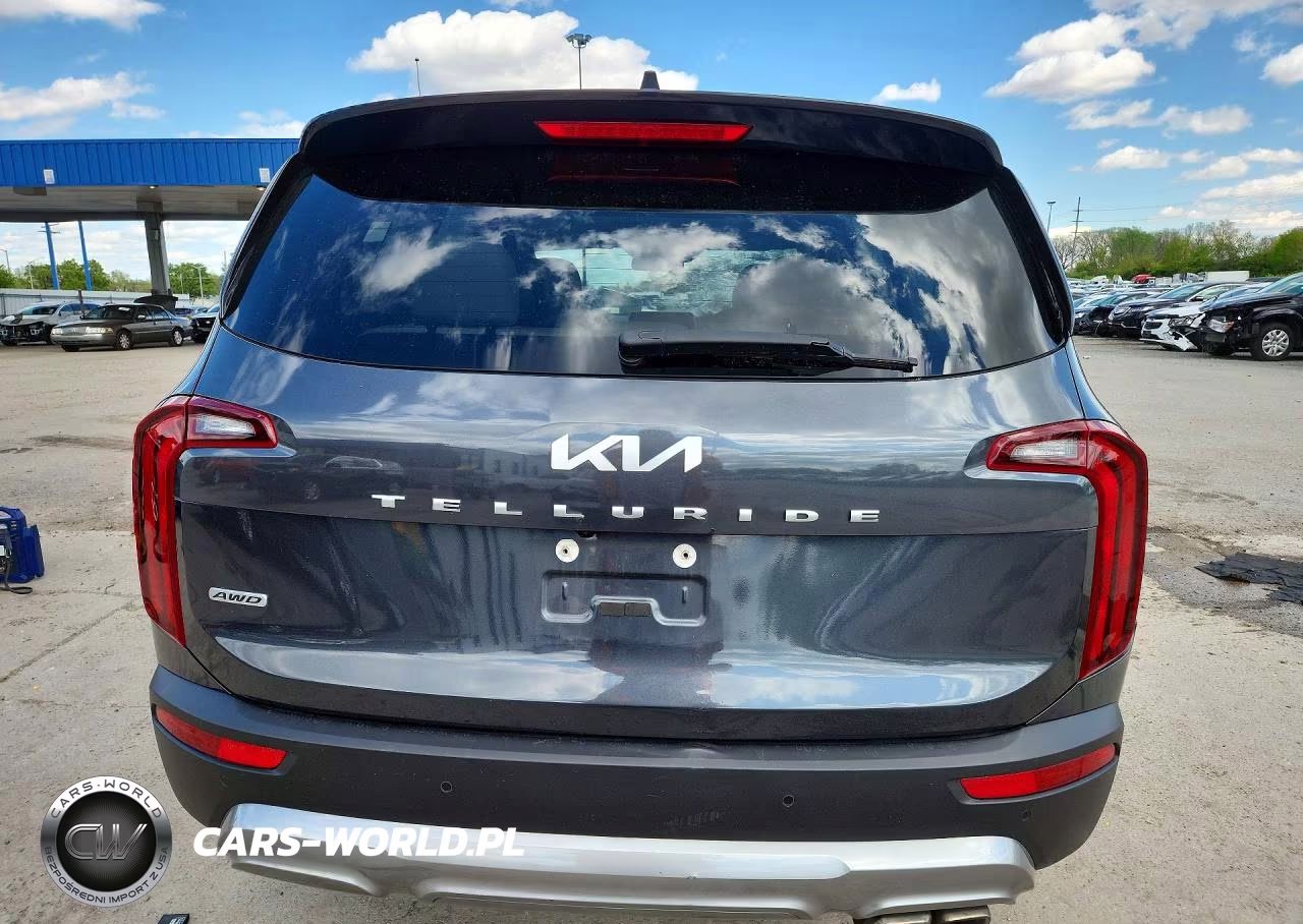 2022 Kia Telluride S VIN:5XYP6DHC5NG239306 - 6