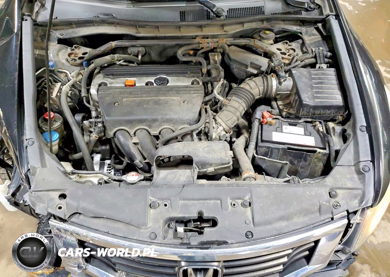 2009 Honda Accord Exl VIN:1HGCP26839A011892 - 11