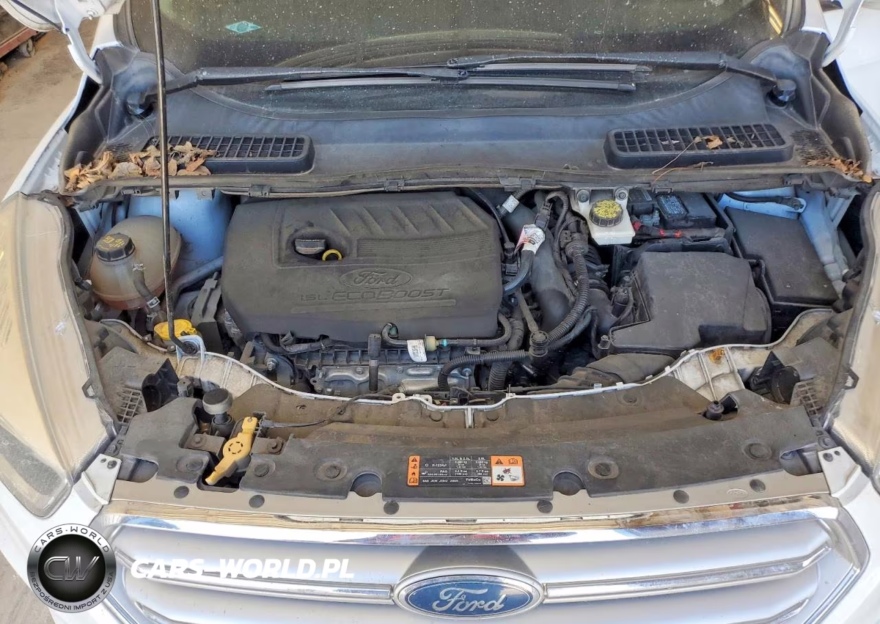 2017 Ford Escape VIN:1FMCU0GD2HUB61718 - 12