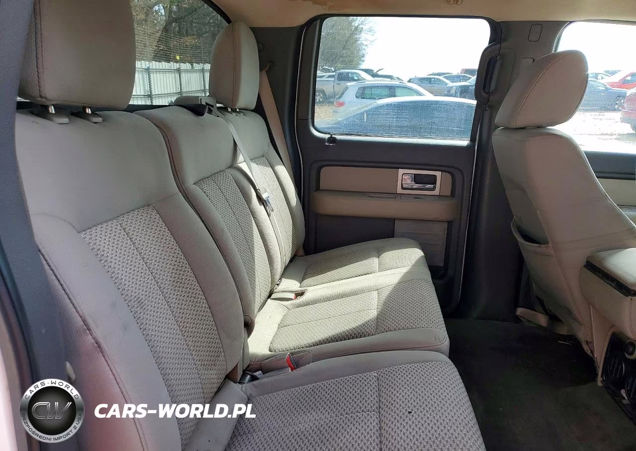 2010 Ford F150 Supercrew VIN:1FTFW1EV0AKB97874 - 10