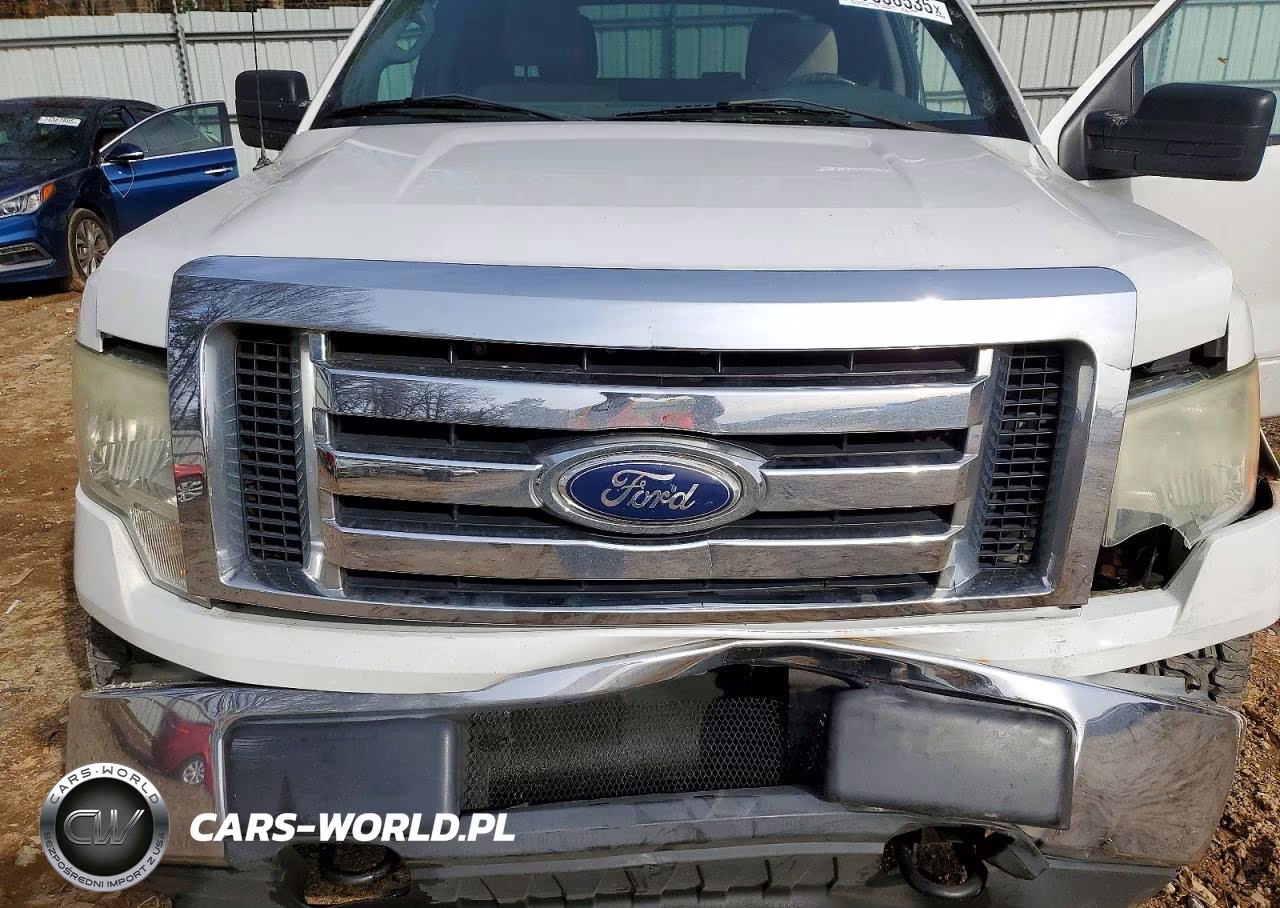 2010 Ford F150 Supercrew VIN:1FTFW1EV0AKB97874 - 11