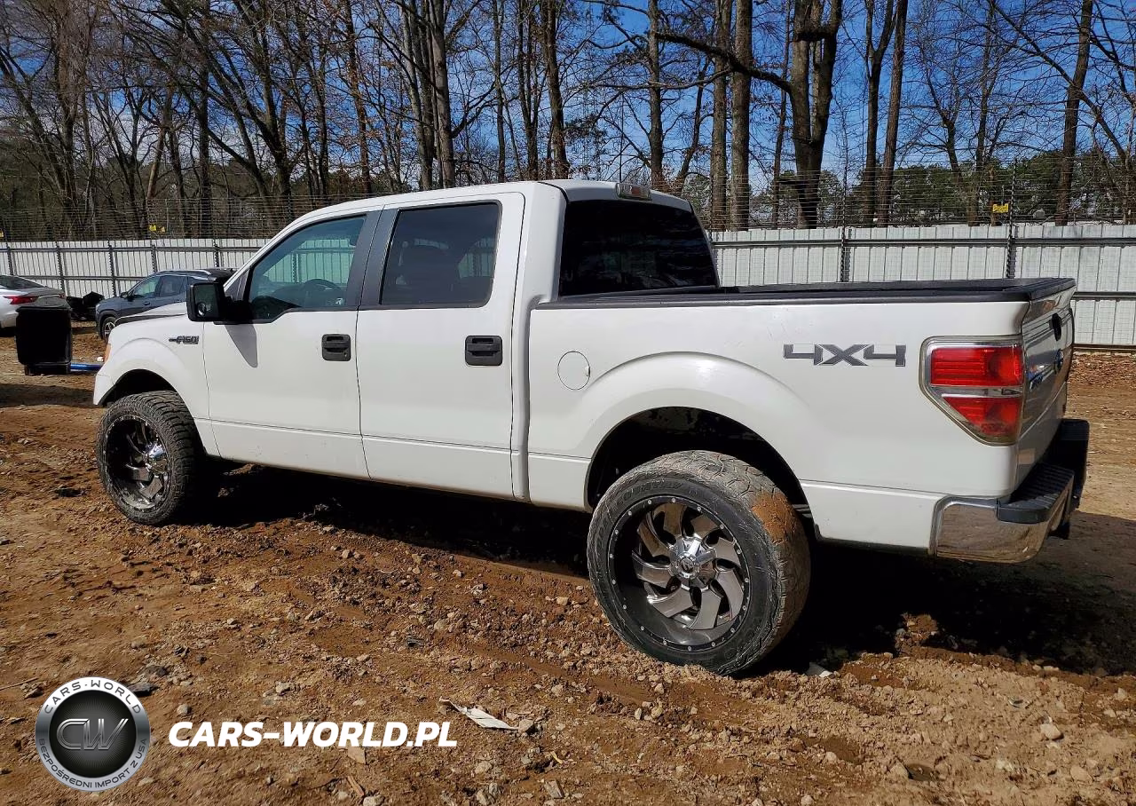 2010 Ford F150 Supercrew VIN:1FTFW1EV0AKB97874 - 2