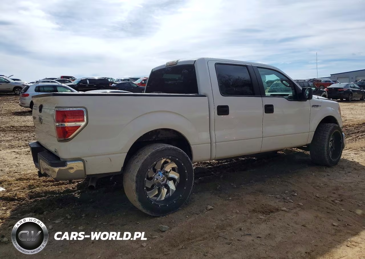 2010 Ford F150 Supercrew VIN:1FTFW1EV0AKB97874 - 3