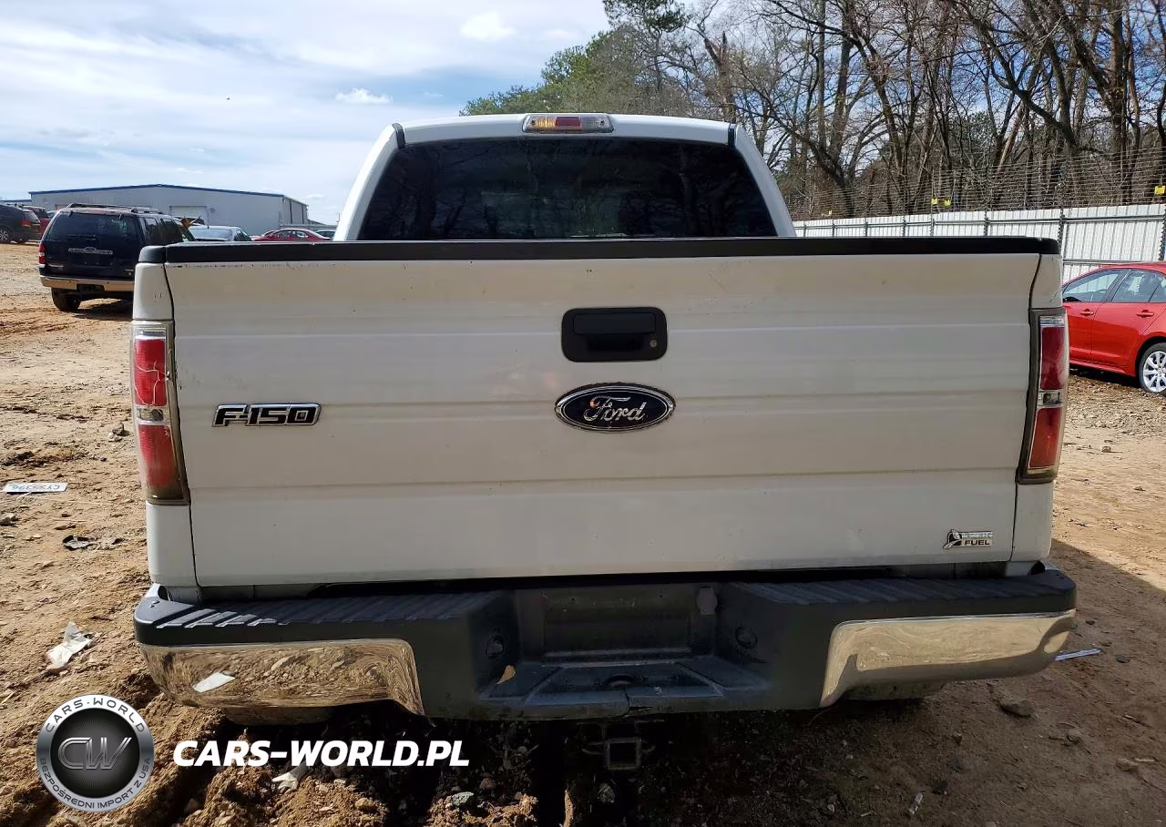 2010 Ford F150 Supercrew VIN:1FTFW1EV0AKB97874 - 6