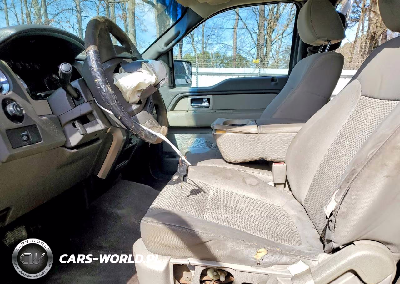 2010 Ford F150 Supercrew VIN:1FTFW1EV0AKB97874 - 7