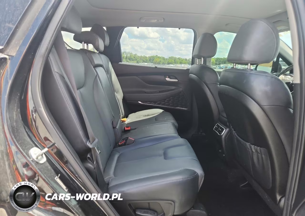 2023 Hyundai Santa Fe Sel Premium VIN:5NMS34AJ0PH574767 - 10