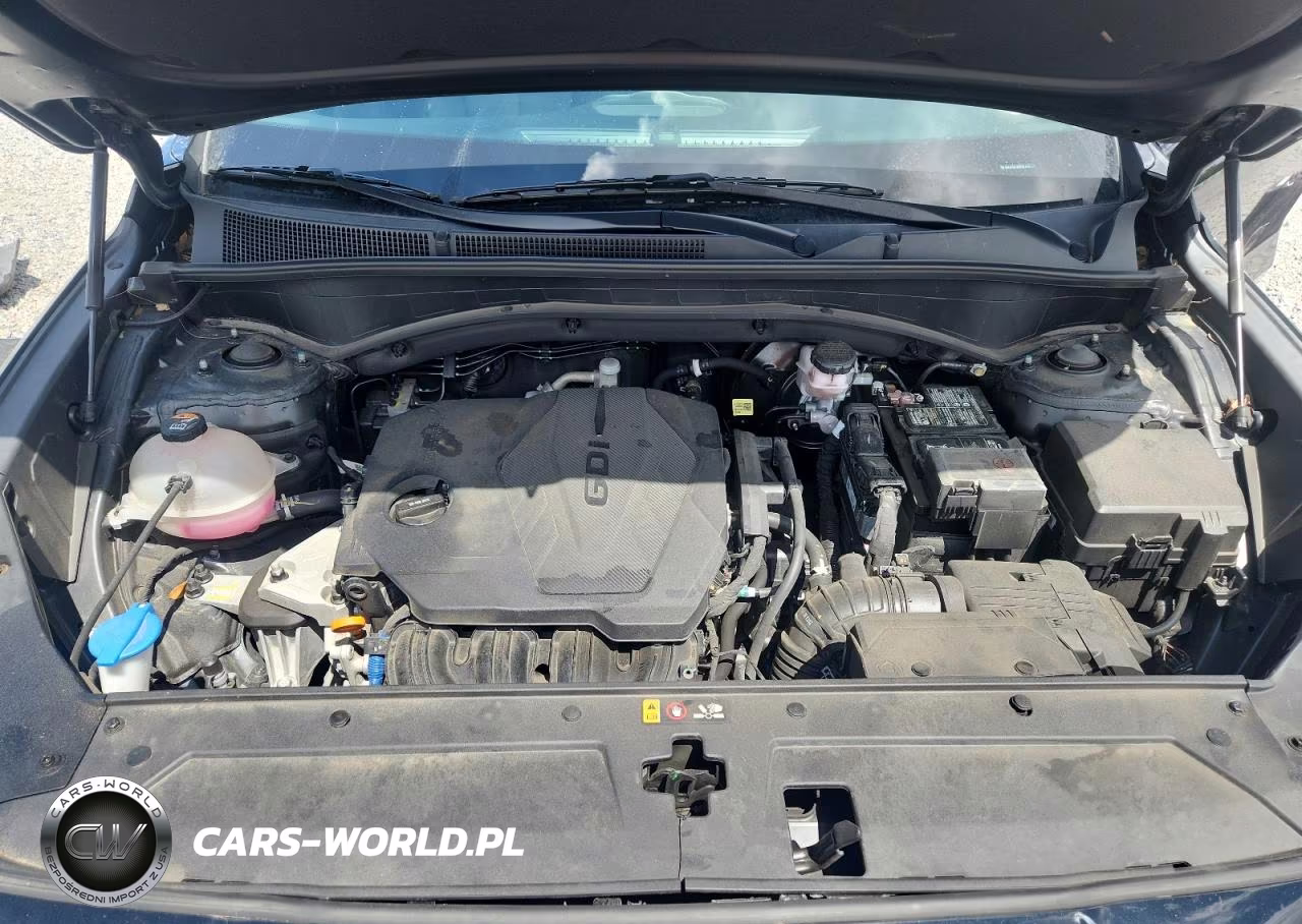 2023 Hyundai Santa Fe Sel Premium VIN:5NMS34AJ0PH574767 - 11