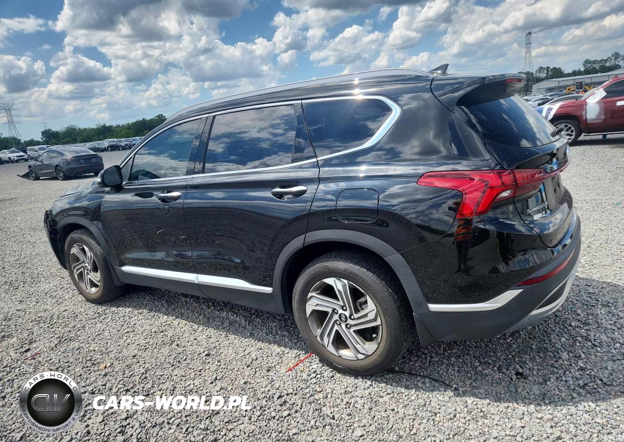 2023 Hyundai Santa Fe Sel Premium VIN:5NMS34AJ0PH574767 - 2