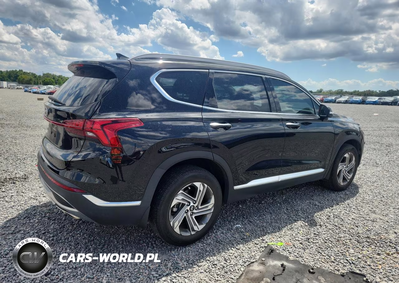 2023 Hyundai Santa Fe Sel Premium VIN:5NMS34AJ0PH574767 - 3
