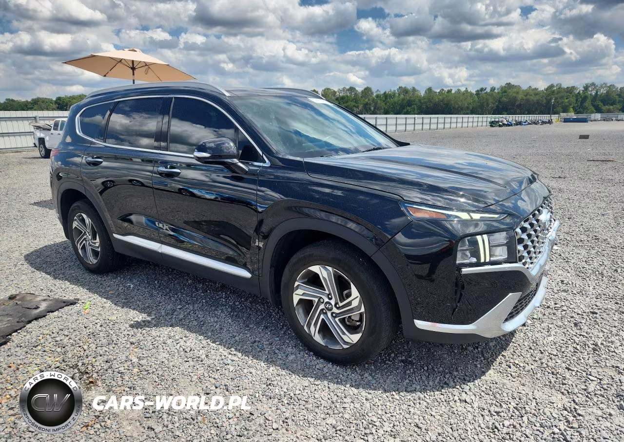 2023 Hyundai Santa Fe Sel Premium VIN:5NMS34AJ0PH574767 - 4