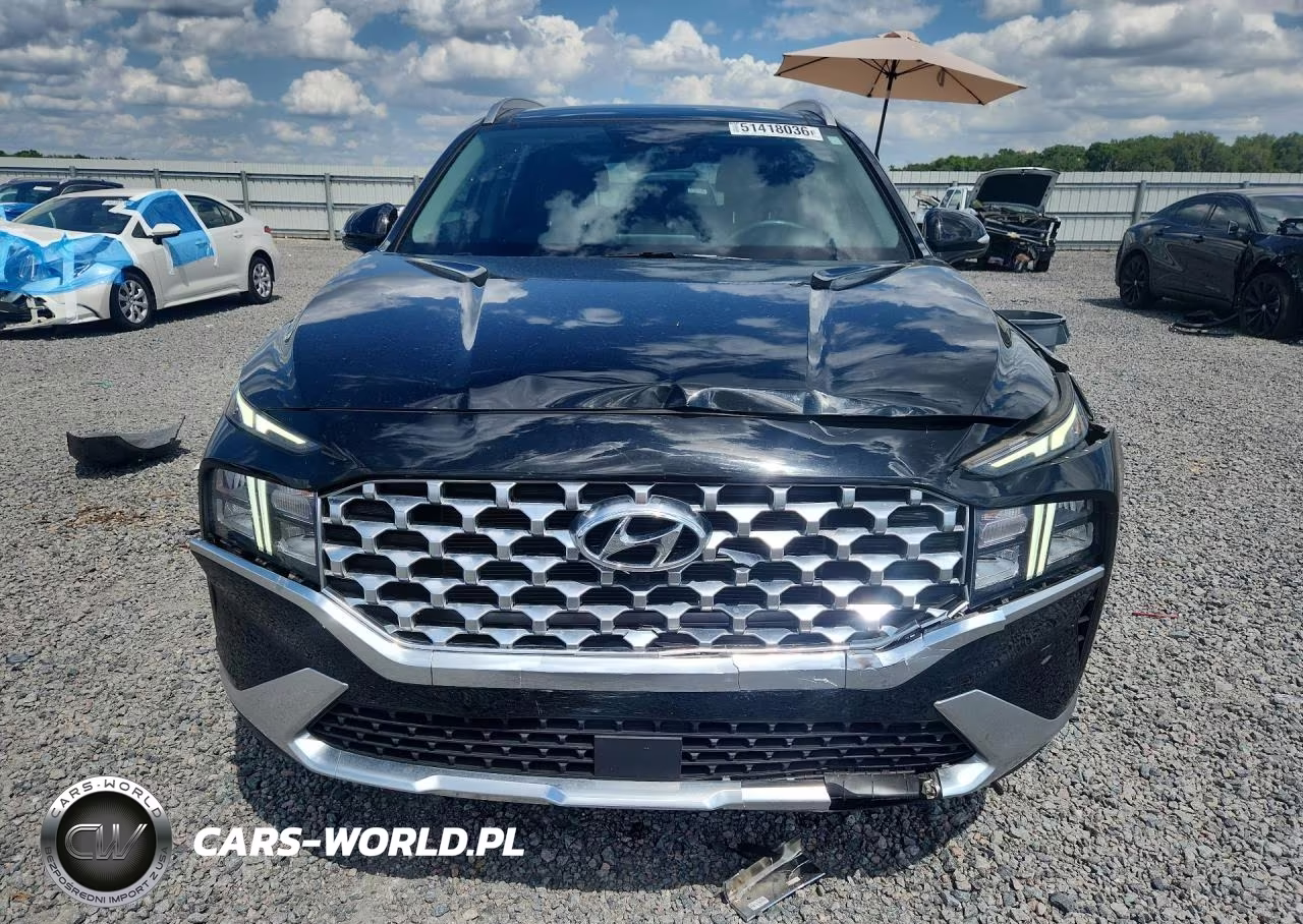 2023 Hyundai Santa Fe Sel Premium VIN:5NMS34AJ0PH574767 - 5