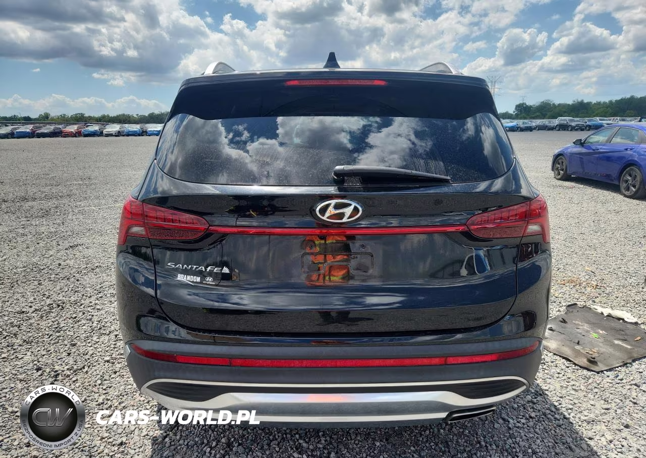 2023 Hyundai Santa Fe Sel Premium VIN:5NMS34AJ0PH574767 - 6