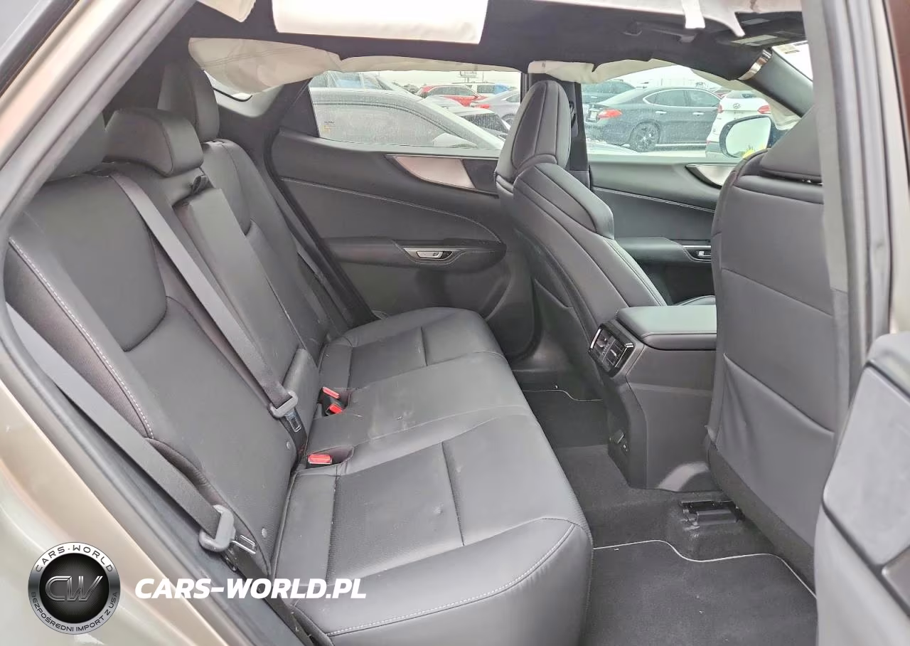 2024 Lexus Nx 350 F Sport Handling VIN:2T2KGCEZ1RC054970 - 10