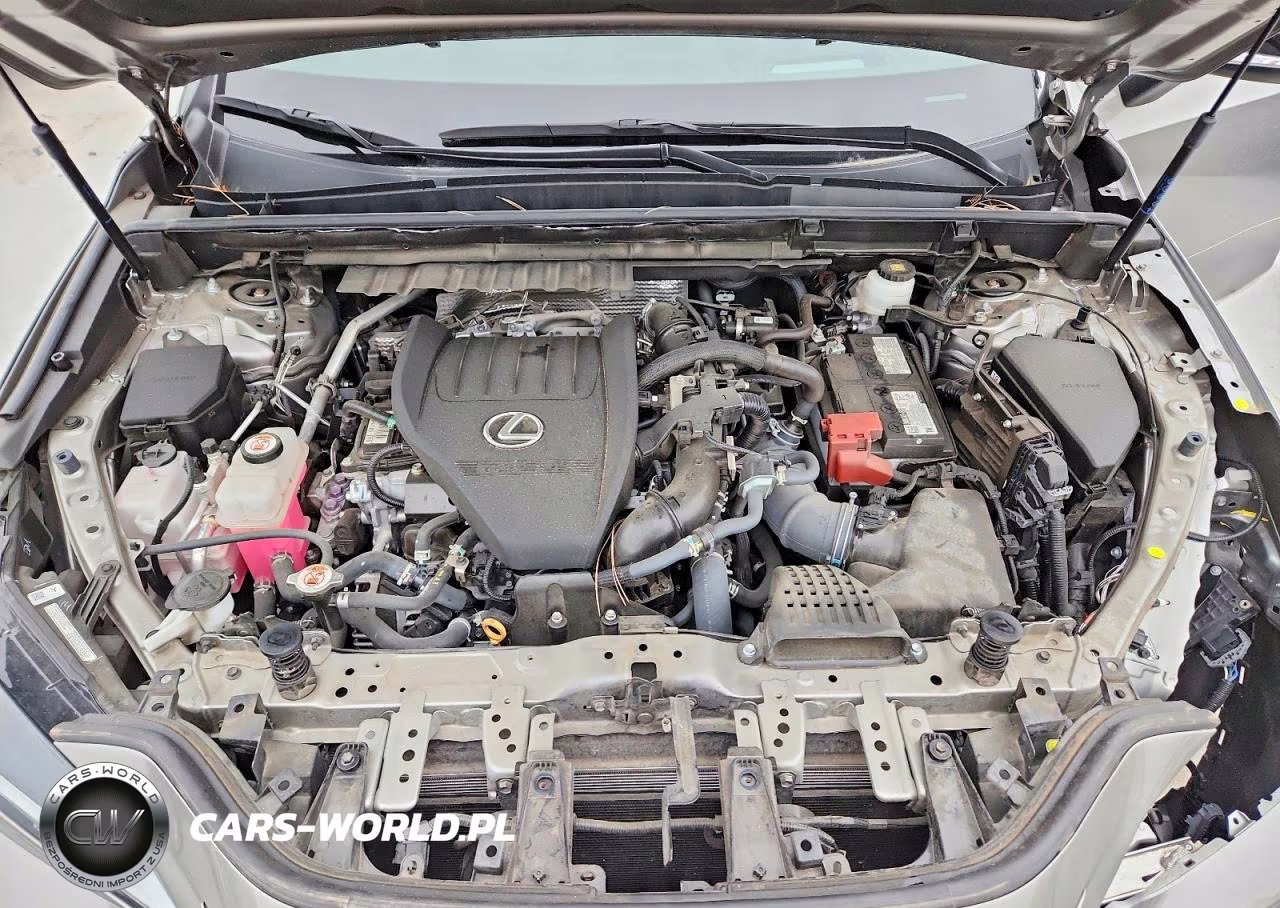 2024 Lexus Nx 350 F Sport Handling VIN:2T2KGCEZ1RC054970 - 11