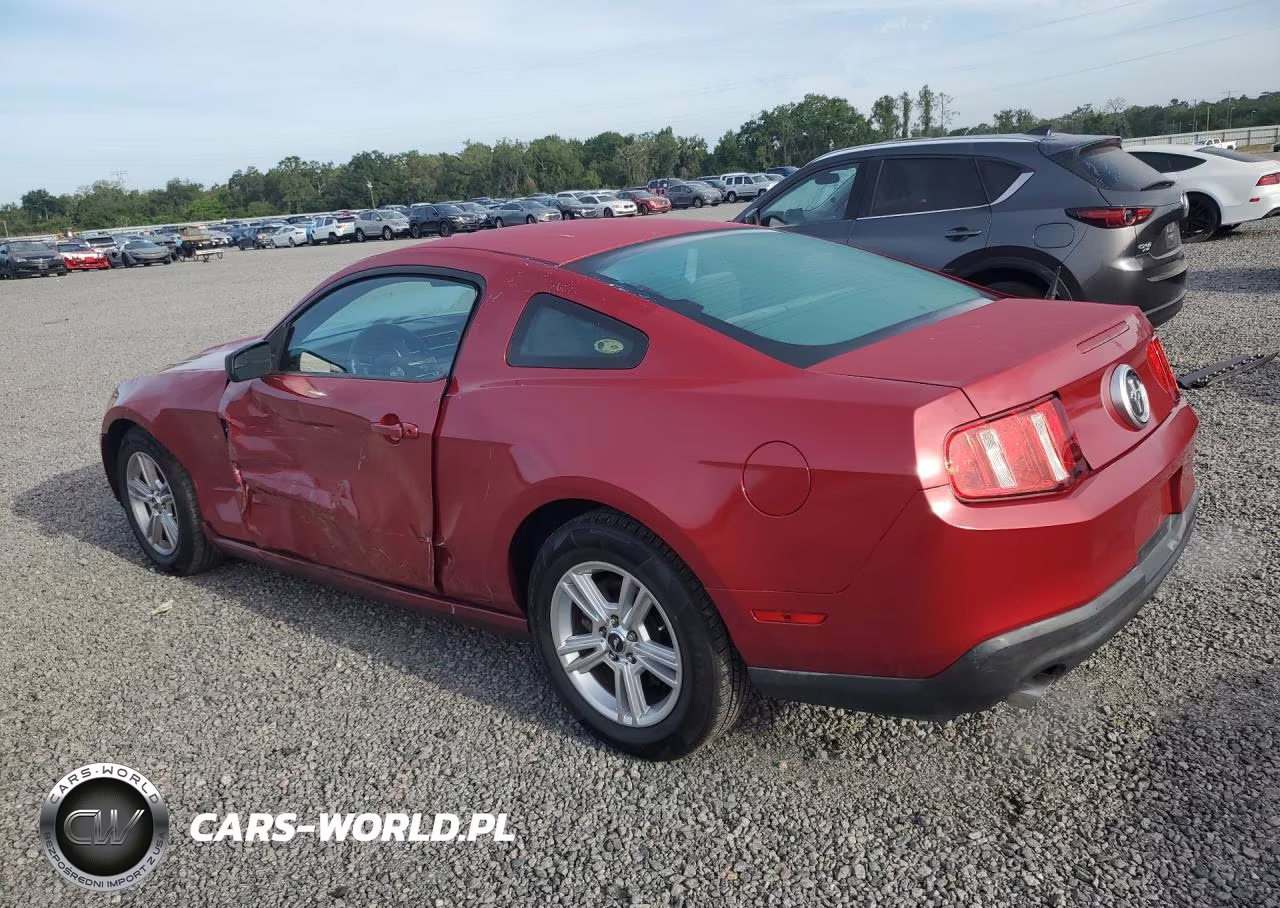 2011 Ford Mustang VIN:1ZVBP8AMXB5156960 - 2