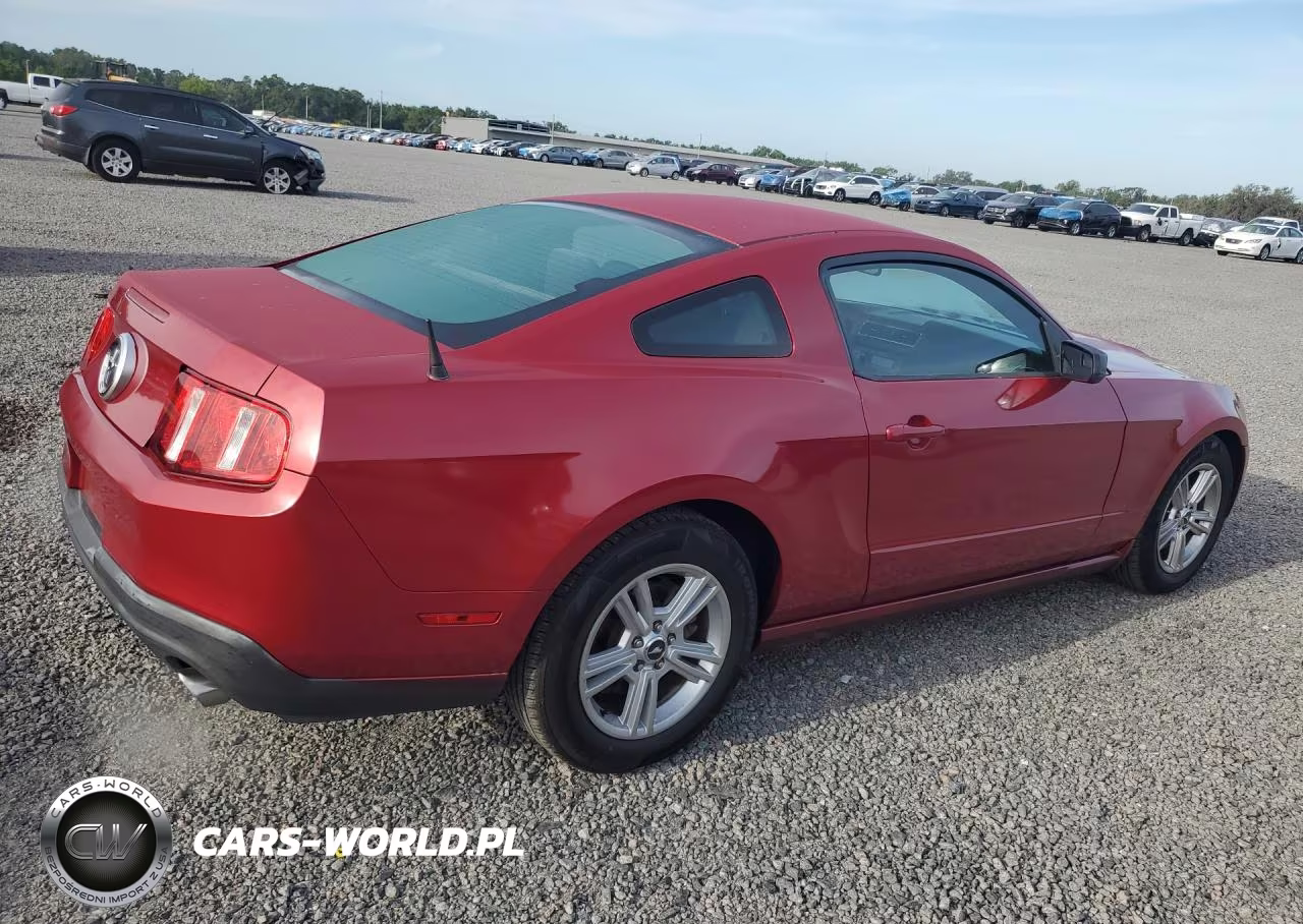2011 Ford Mustang VIN:1ZVBP8AMXB5156960 - 3