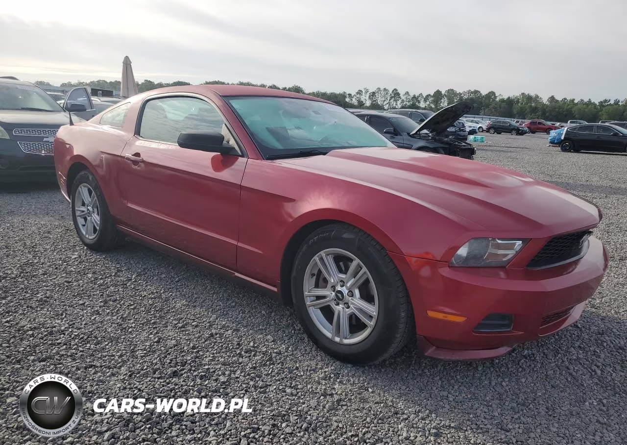 2011 Ford Mustang VIN:1ZVBP8AMXB5156960 - 4
