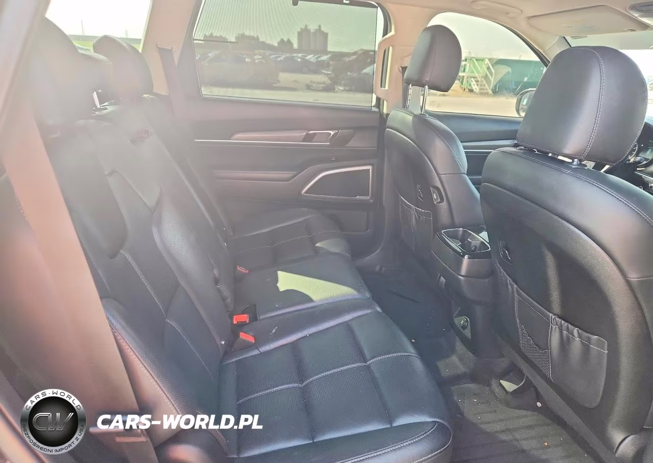 2020 Kia Telluride Ex VIN:5XYP34HC8LG070081 - 11