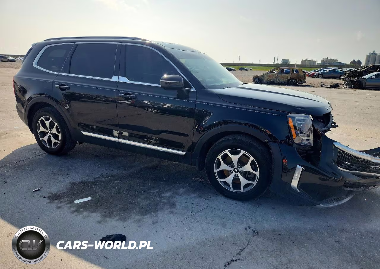 2020 Kia Telluride Ex VIN:5XYP34HC8LG070081 - 4
