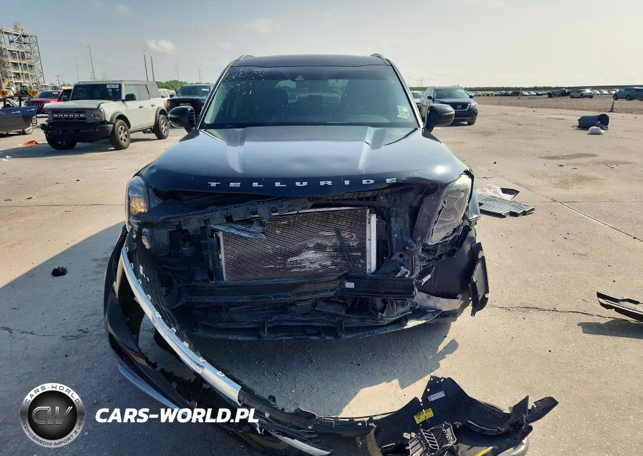 2020 Kia Telluride Ex VIN:5XYP34HC8LG070081 - 5