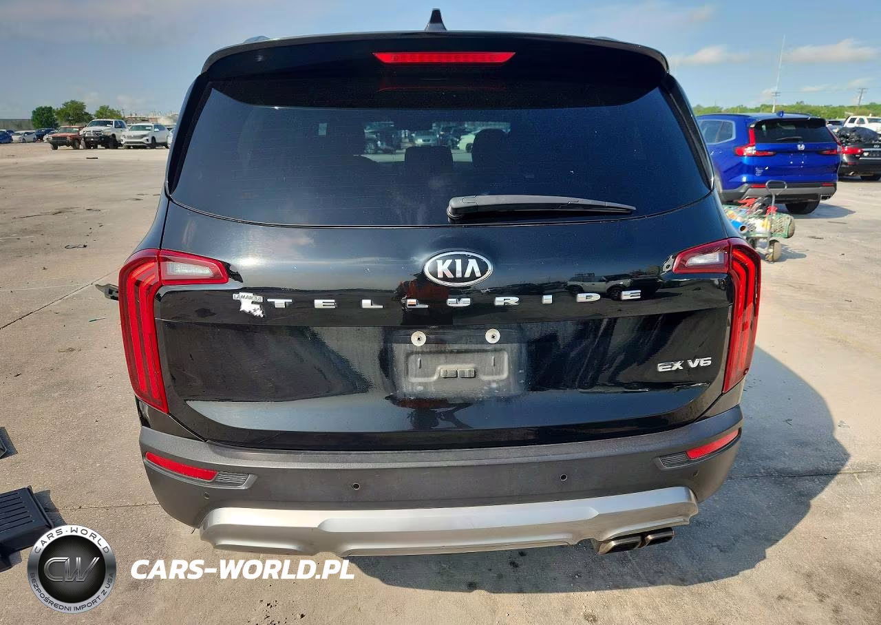 2020 Kia Telluride Ex VIN:5XYP34HC8LG070081 - 6