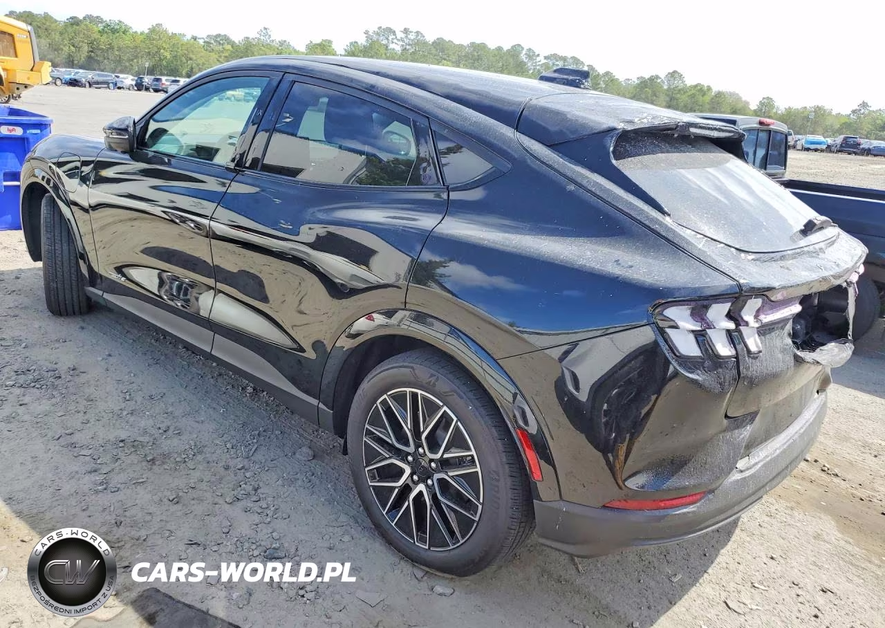 2025 Ford Mustang Mach-E Premium VIN:3FMTK3R79SMA14743 - 2