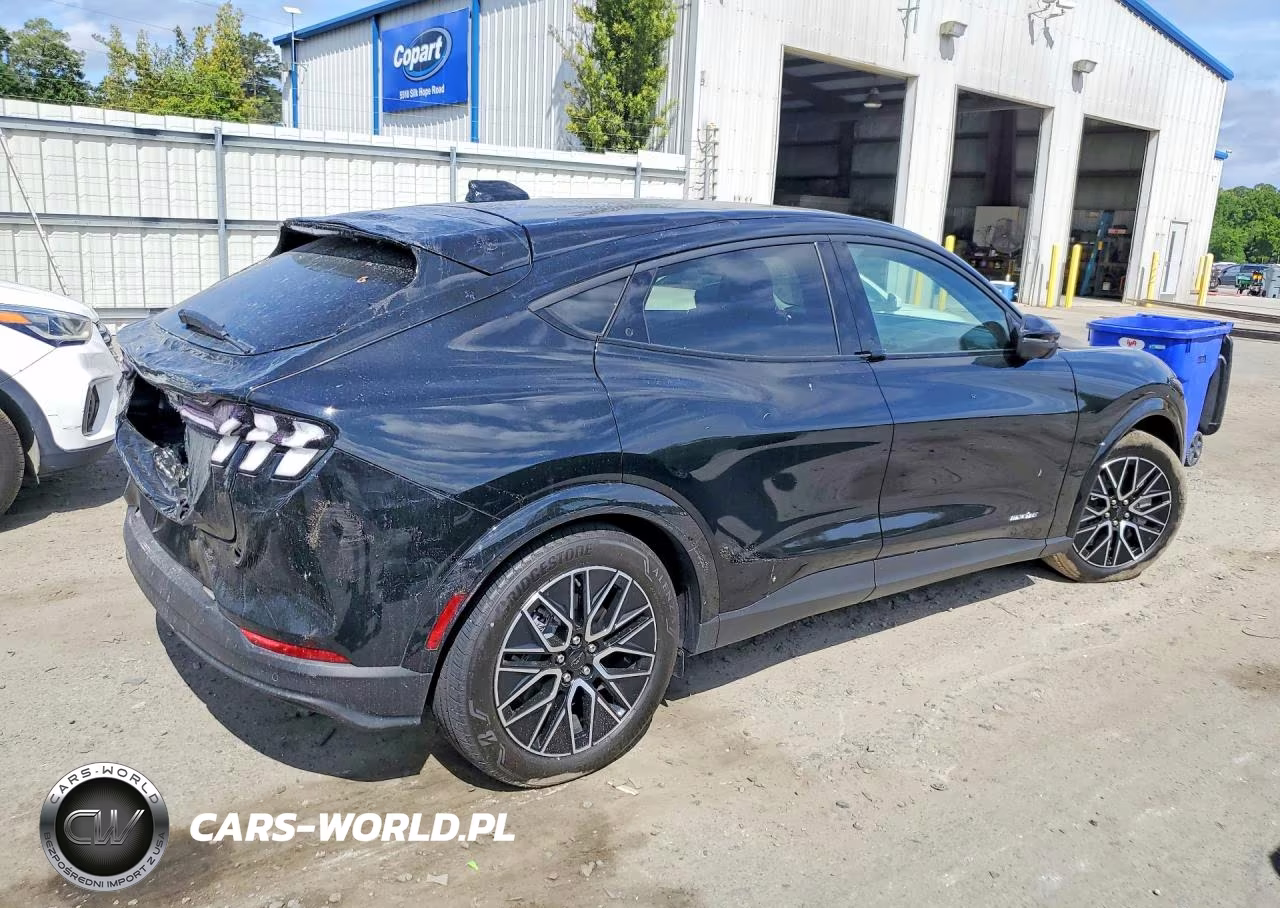 2025 Ford Mustang Mach-E Premium VIN:3FMTK3R79SMA14743 - 3