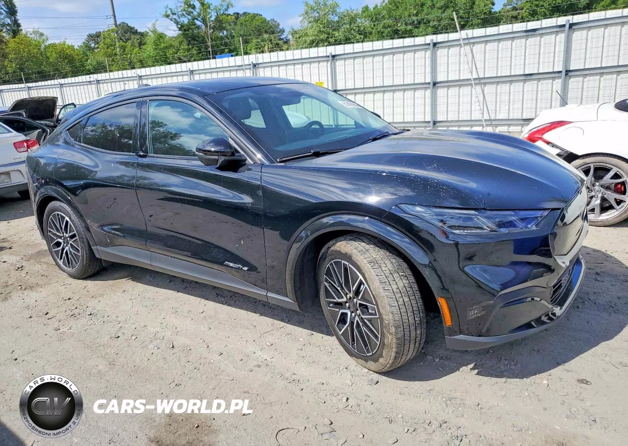 2025 Ford Mustang Mach-E Premium VIN:3FMTK3R79SMA14743 - 4