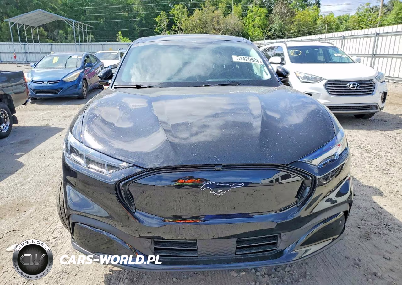 2025 Ford Mustang Mach-E Premium VIN:3FMTK3R79SMA14743 - 5