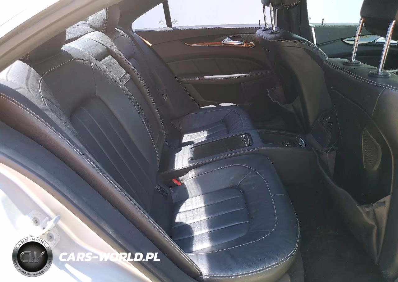 2014 Mercedes-Benz Cls 550 VIN:WDDLJ7DB1EA103496 - 10