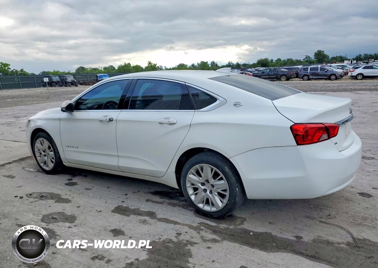 2019 Chevrolet Impala Ls VIN:2G11Y5S32K9161582 - 2
