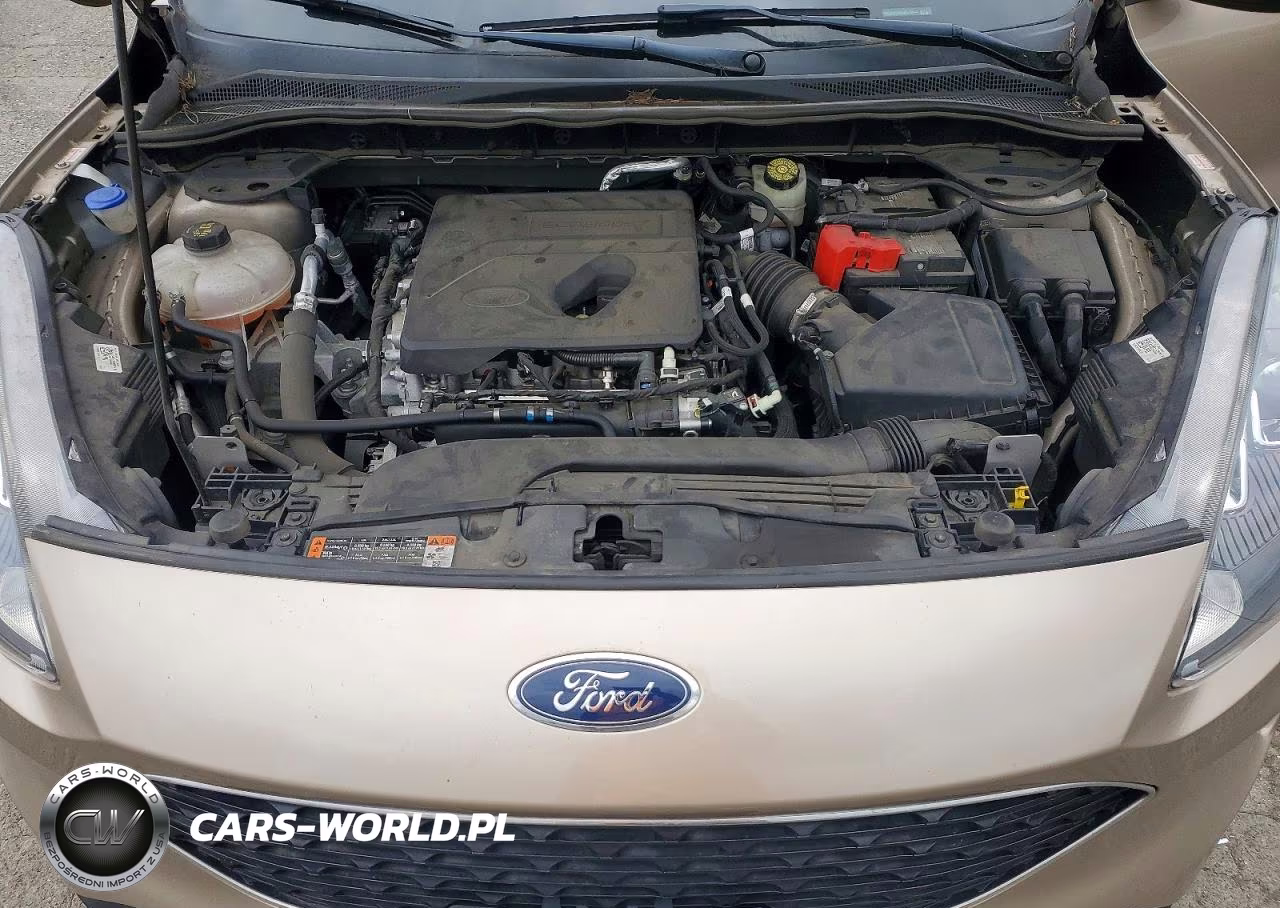 2020 Ford Escape Sel VIN:1FMCU9H68LUA79845 - 11