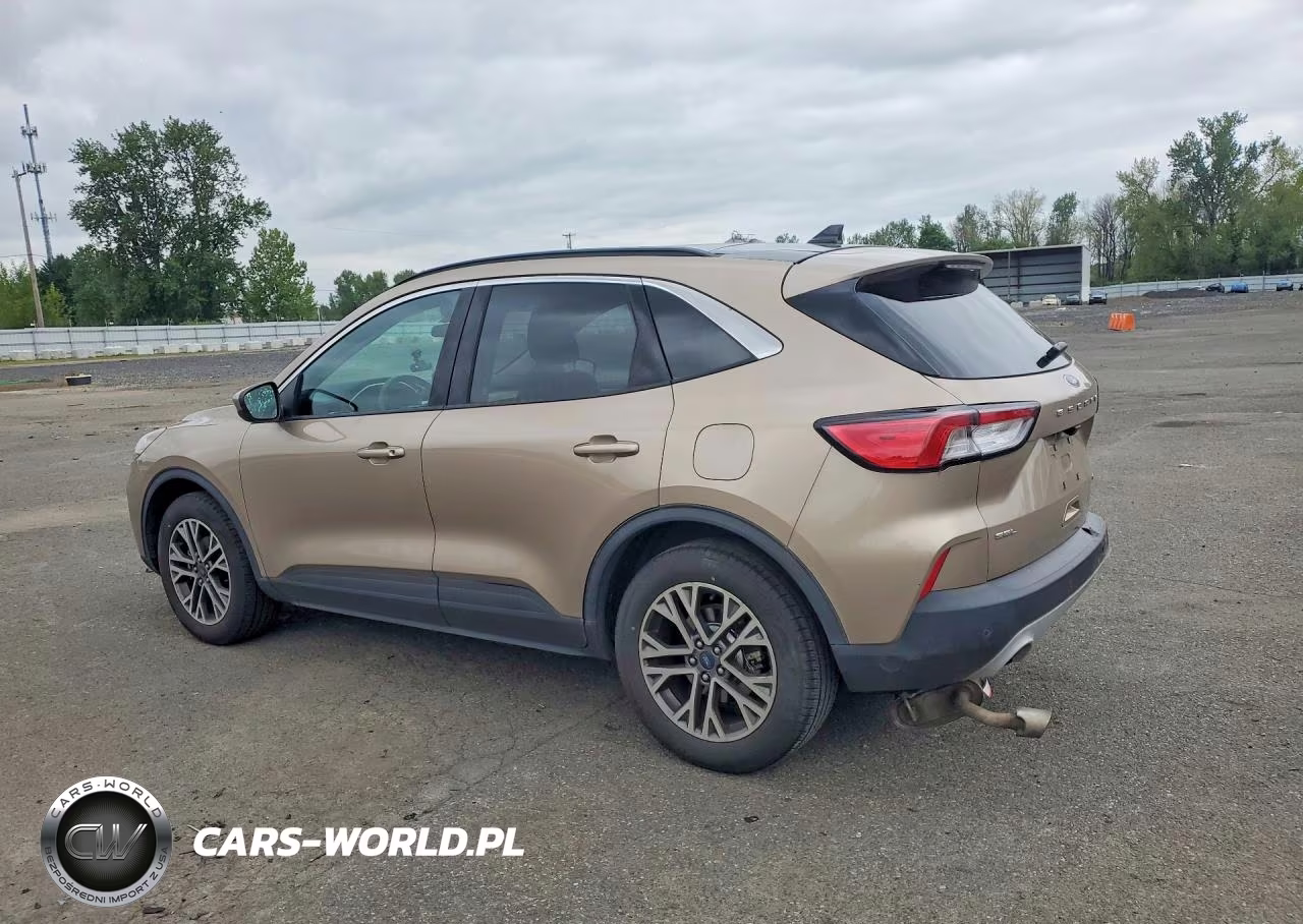 2020 Ford Escape Sel VIN:1FMCU9H68LUA79845 - 2