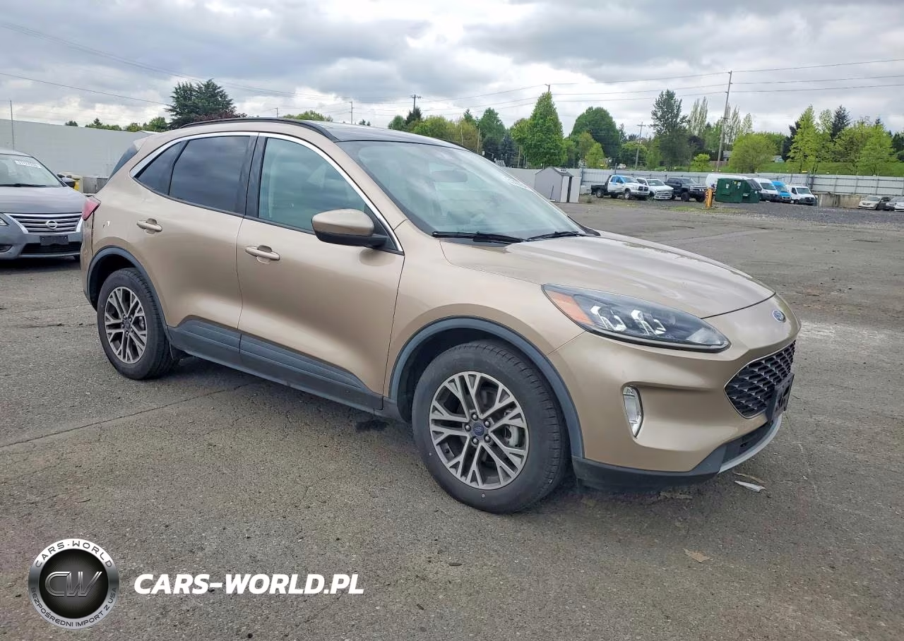 2020 Ford Escape Sel VIN:1FMCU9H68LUA79845 - 4