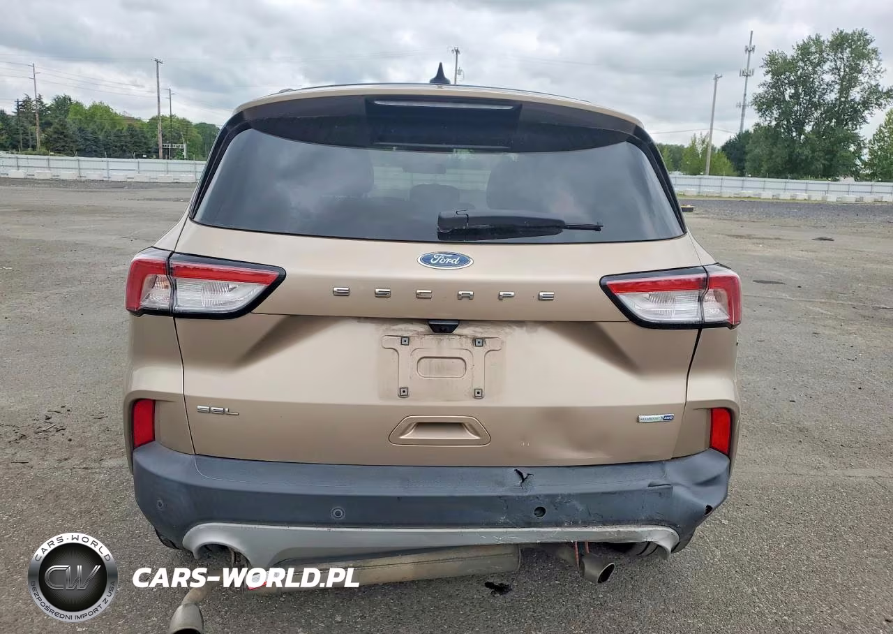 2020 Ford Escape Sel VIN:1FMCU9H68LUA79845 - 6