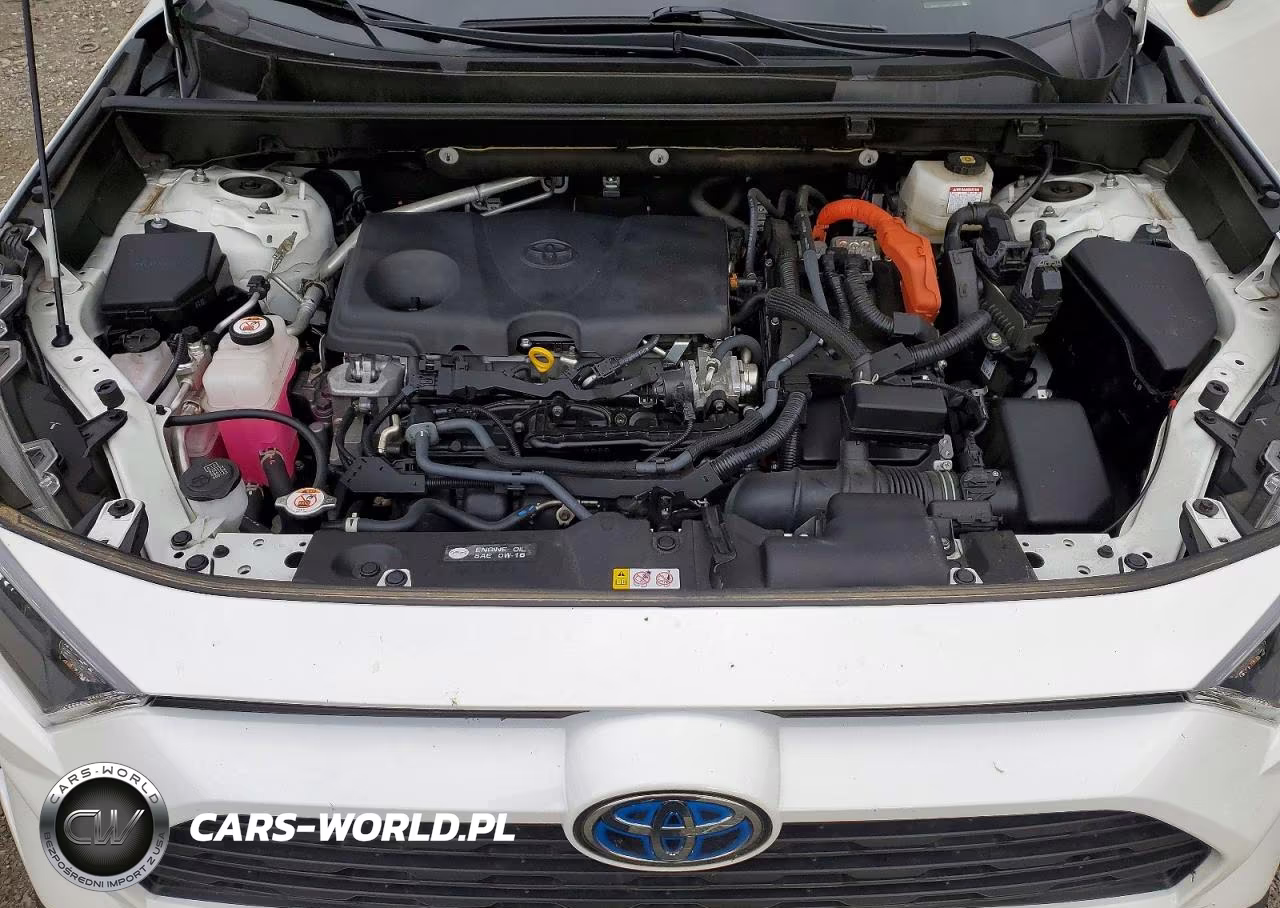 2022 Toyota Rav4 Le VIN:JTMMWRFV2ND154801 - 12