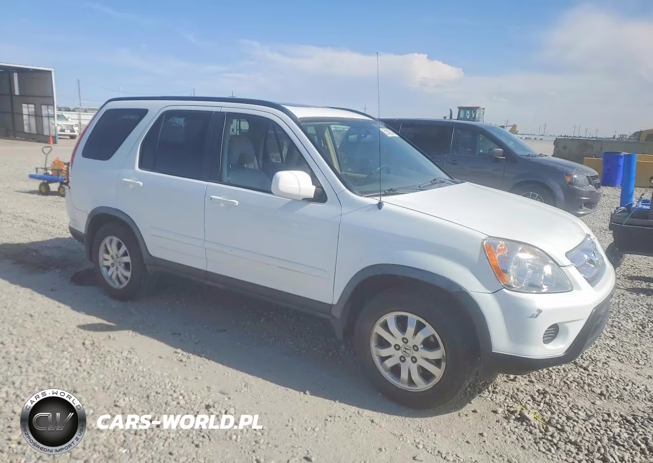 2006 Honda Cr-V Se VIN:JHLRD78956C060969 - 4