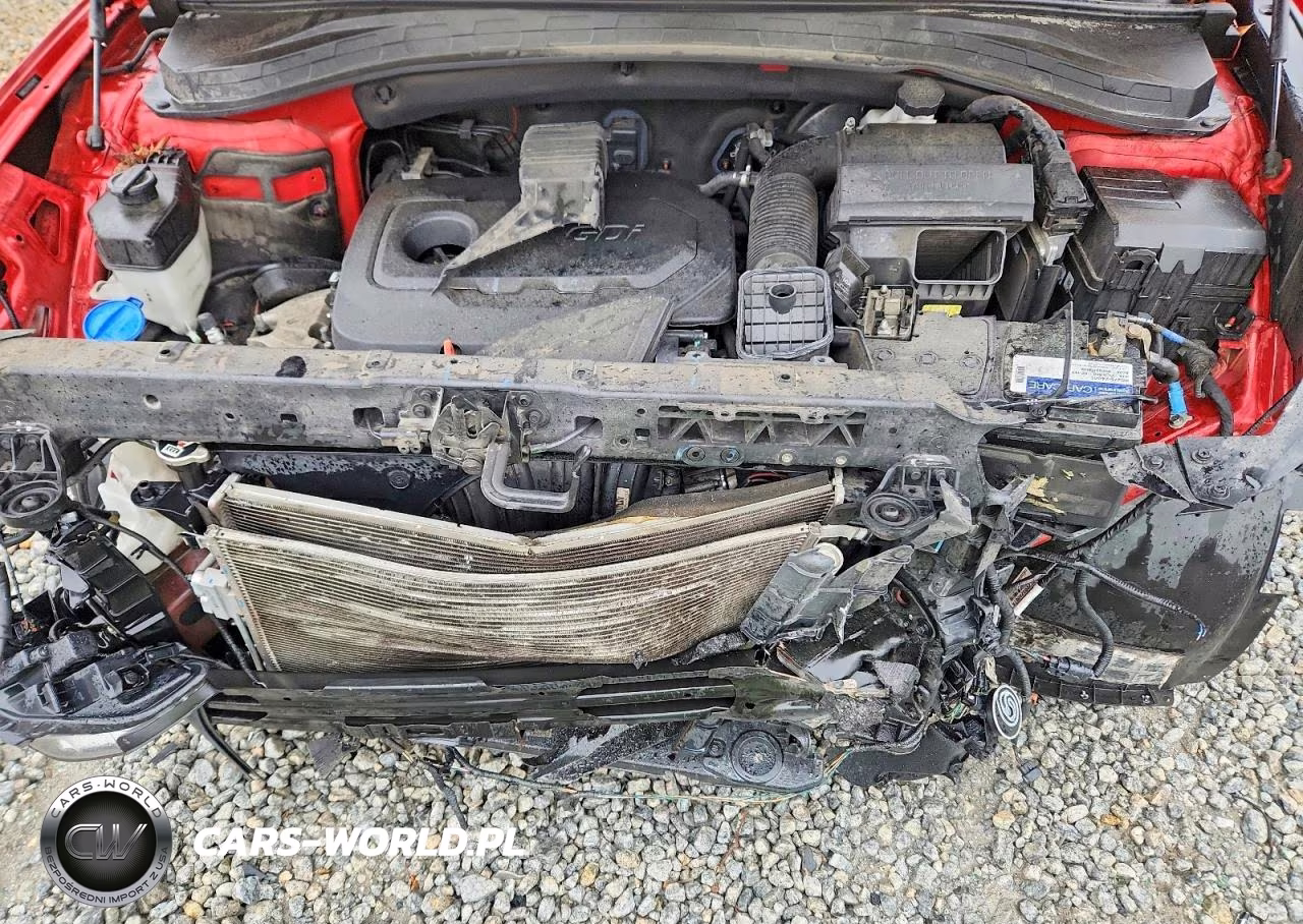 2019 Hyundai Santa Fe Se VIN:5NMS23AD9KH127922 - 12